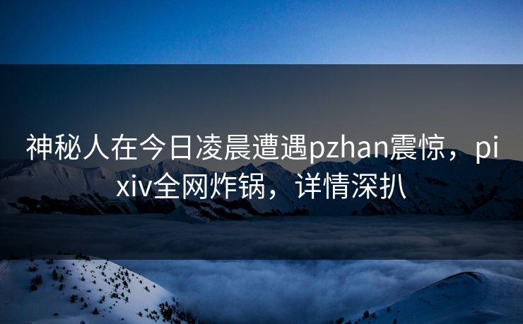 神秘人在今日凌晨遭遇pzhan震惊，pixiv全网炸锅，详情深扒