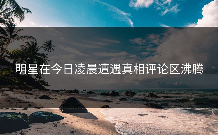 明星在今日凌晨遭遇真相评论区沸腾