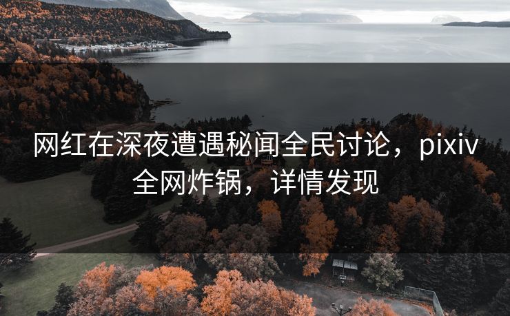 网红在深夜遭遇秘闻全民讨论，pixiv全网炸锅，详情发现