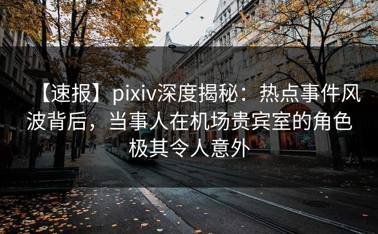 【速报】pixiv深度揭秘：热点事件风波背后，当事人在机场贵宾室的角色极其令人意外